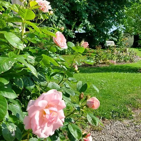 Manoir Les Quatre Etoiles, Sainte Mere Eglise 3* Turqueville
